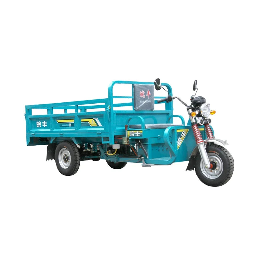 Electric Cargo Tricycle 3000W Motorized 3-Wheel Passenger Bike Adults EEC/DOT Certified Open Body Electric Tricycle Sale