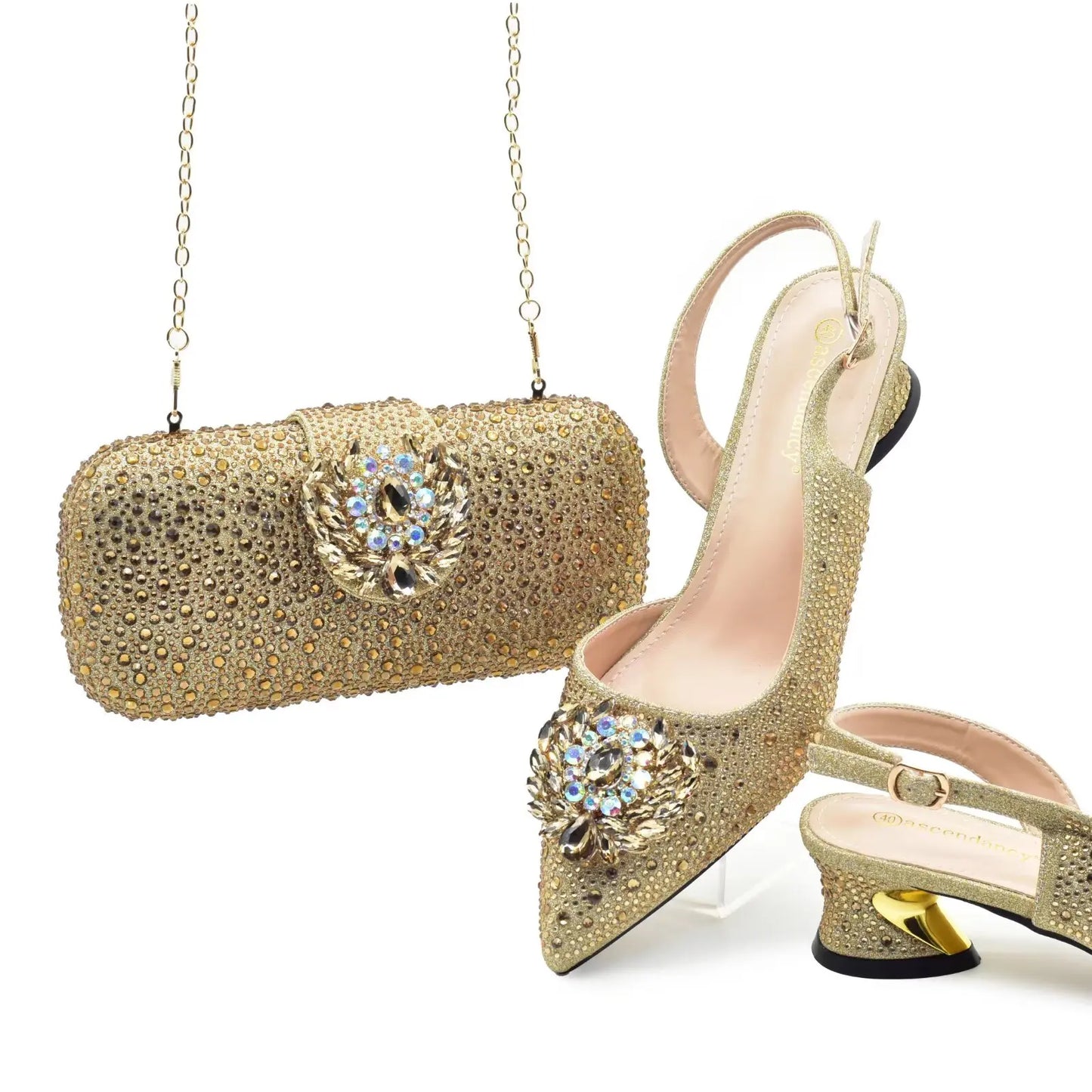 Juego de zapatos y bolso a juego para mujer HAS1-1