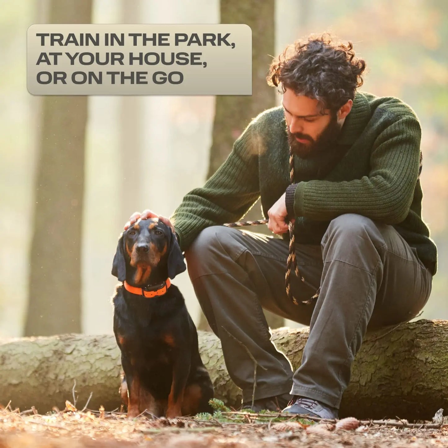 1000m Electric Dog Training Collar Remote Control Waterproof Training