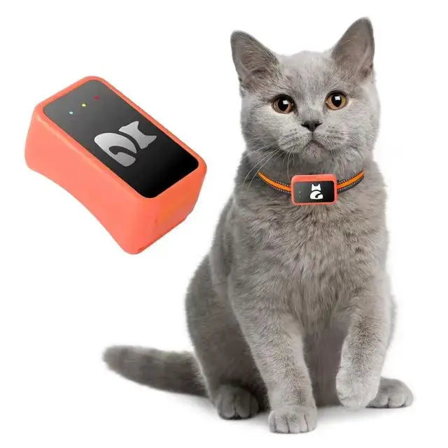 4G GPS Precision Positioning For Pets Dogs Cats Realtime GPS Tracking Electronic fence App Based Wireless Dog Fence Collar