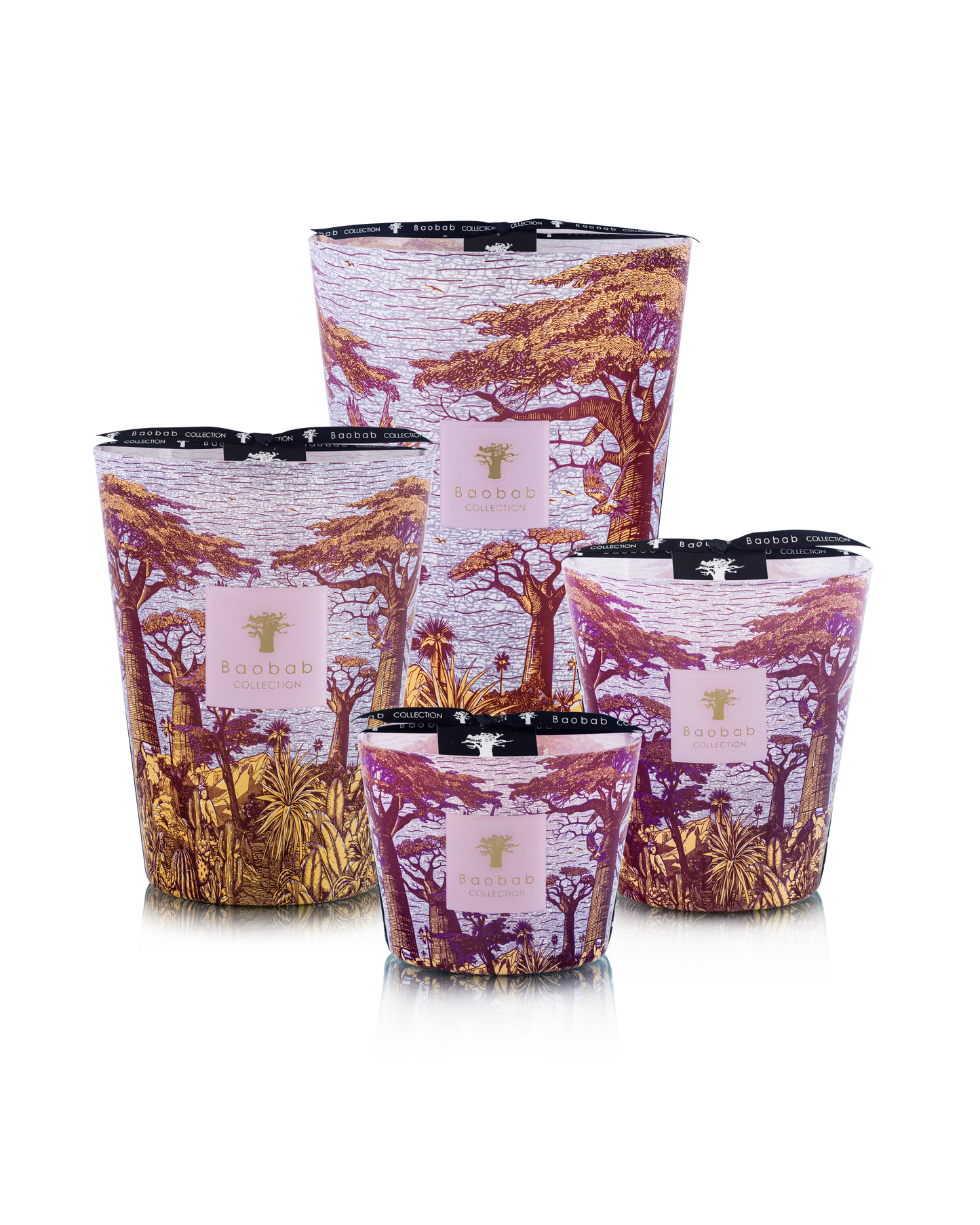 Baobab Collection Massasso Sacred Trees Max 24 Candle