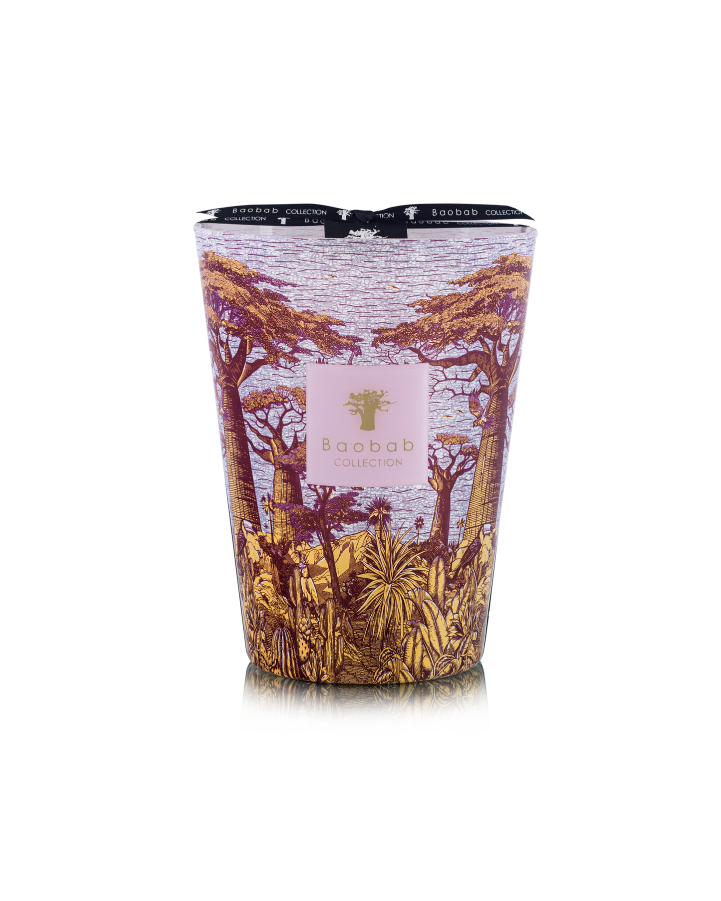 Baobab Collection Massasso Sacred Trees Max 24 Candle