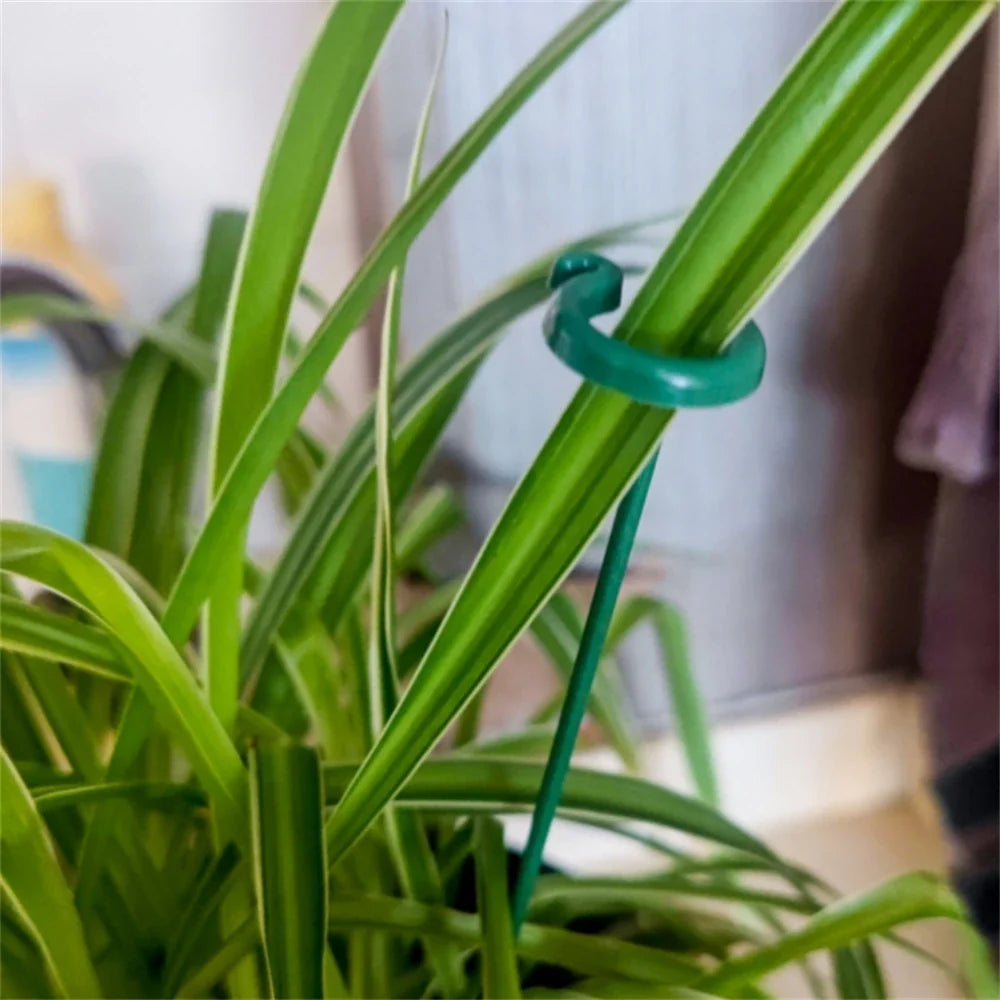 100pcs Plant Support Stakes Garden Floral Flower Support Single Stem
