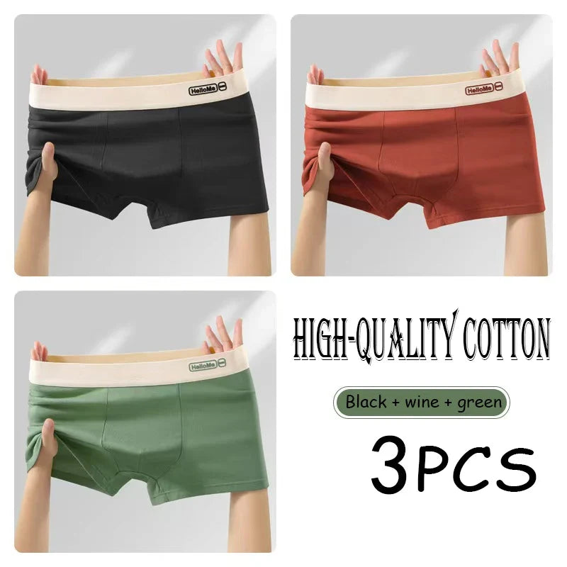2/3PCS Cotton Men's Underwear Simple Fashion Comfortable Breathable Multi-Color Underwear Combination Sports Stretch Underwear