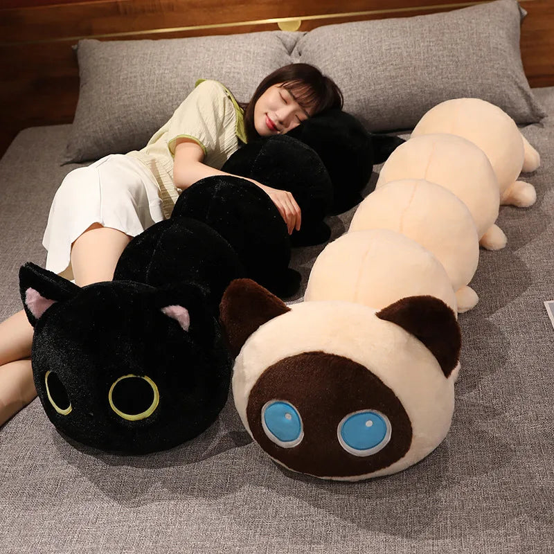 Peluche de gato oruga