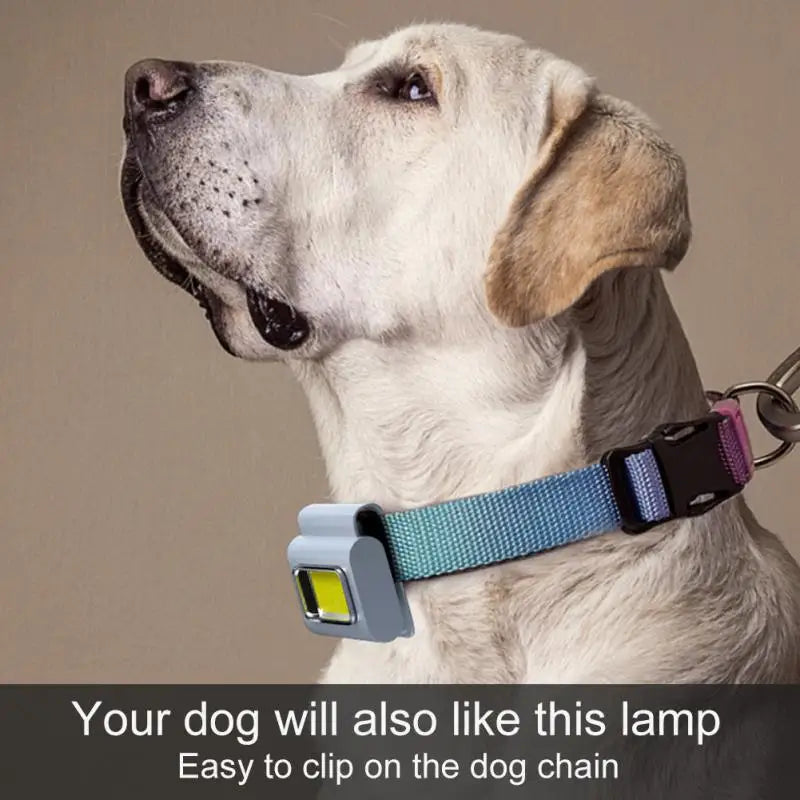 Multifunctional LED Portable Light with Magnetic Charging Light Clothespin Running Light Silicone Work Headlight Dog Chain Light