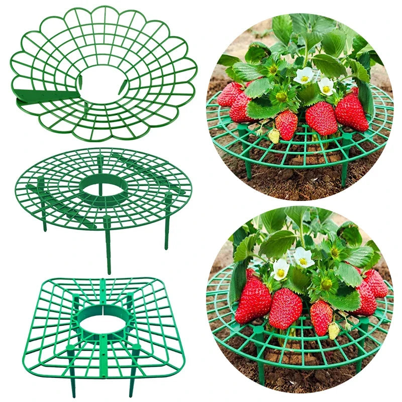 Green Strawberry Planting Stand Plastic Plant Support Cage Garden Anti-rot Strawberry Growing Racks Holder with 3/4Sturdy Legs