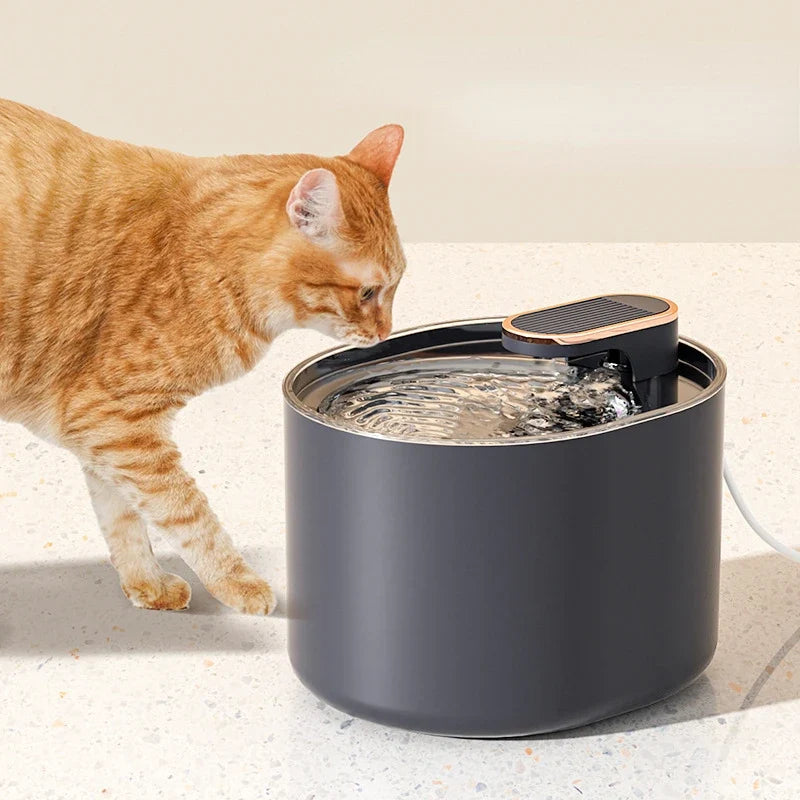 Large Capacity 3L Cat Water Fountain Automatic Recirculate Filtring Pet Fountain USB Electric Mute Cat Drinker Bowl Dispenser