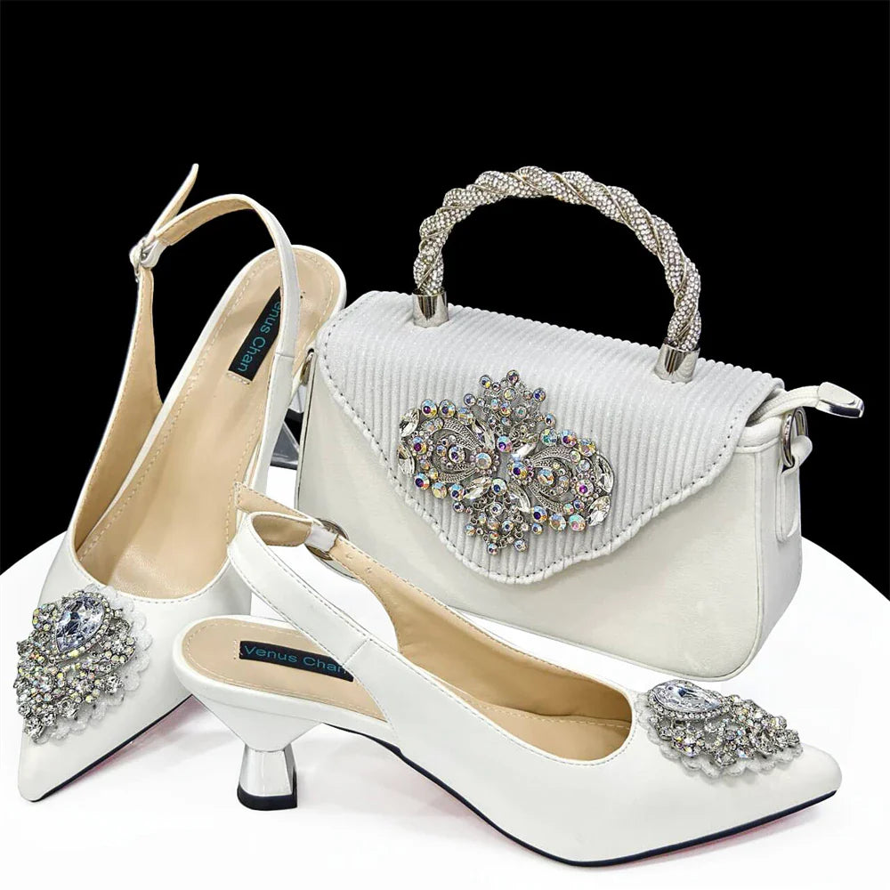Juego de zapatos y bolsos de señora de alta calidad HAS1-23