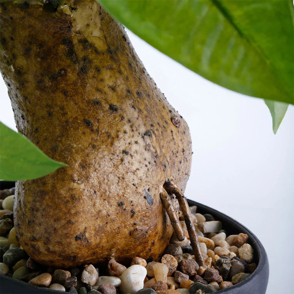 Dlight Decor 43cm Potted Monstera Money Tree for Home and Garden Decor