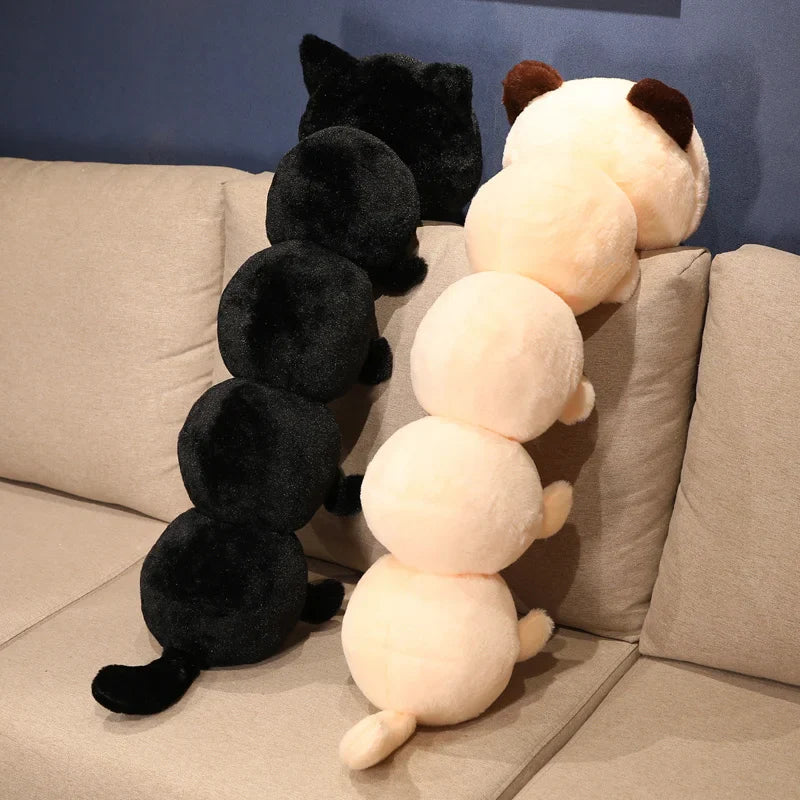Peluche de gato oruga
