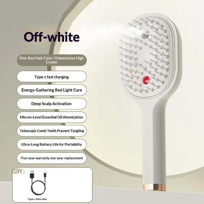 Electric Steam Hair Straightening Brush Water Spray Wet Dry Use USB-C Fast Charging Portable Hair Tool for Salon Travel Use