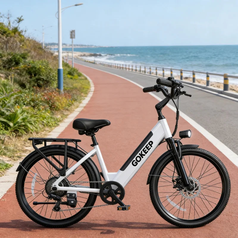 26-inch fashionable E-Bike, 7-speed variable speed adult electric bicycle, 600W brushless motor 48V-10.4ah battery electric mope