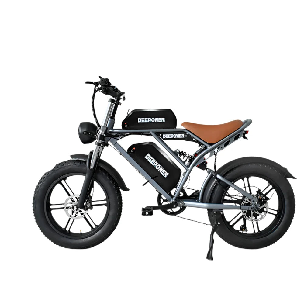 Electric Bicycle 20" Fat Tires Dual Battery 48V  55Ah