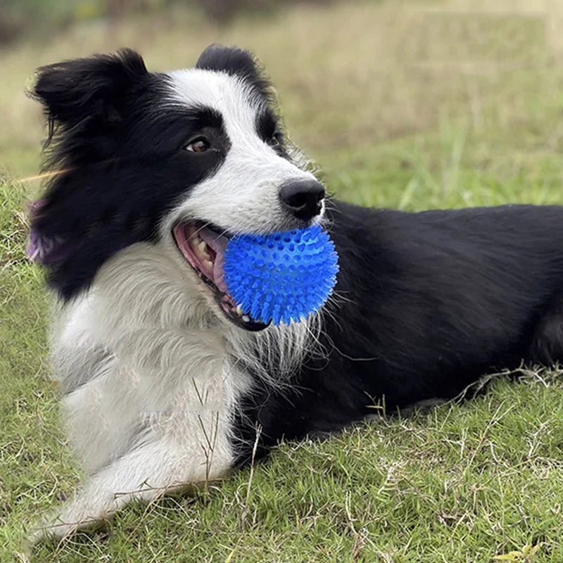 Bite Resistant Pet Chew Ball Toys for Small Large Dogs Elastic Buoyant Squeaky Puppy Big Dog Toy Border Shepherd Collie Supplies