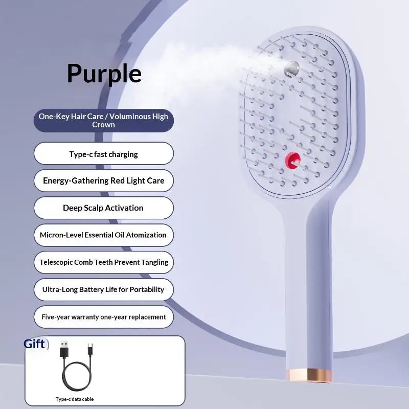Electric Steam Spray Hair Brush USB-C Rechargeable Wet Hair Straightener Comb, Smooth Styling Anti-Frizz Tool