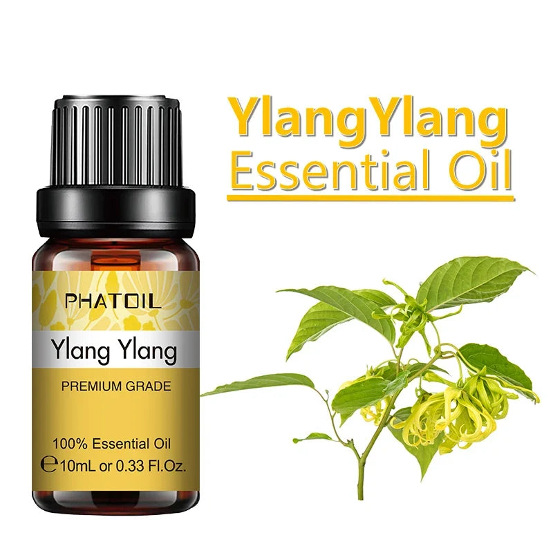 PHATOIL 10ml Ginger Essential Oil for Perfume Candles Making Spa Massage Humidifier Rose Jasmine Pine Needles Tangerine Thyme
