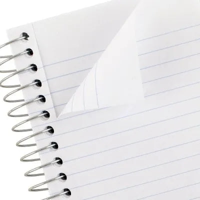 Notebooks 1 Count Paper