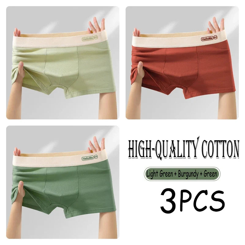 2/3PCS Cotton Men's Underwear Simple Fashion Comfortable Breathable Multi-Color Underwear Combination Sports Stretch Underwear