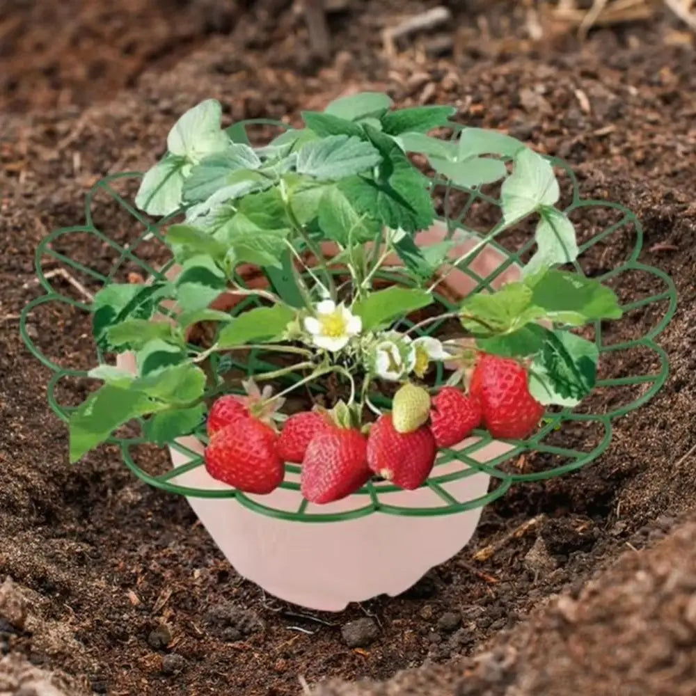 1/3pcs Round Strawberry Stand Anti-Corrosion Anti-Ground Strawberry