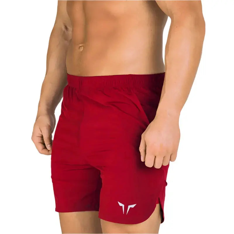 Men's Quick Dry Breathable Woven Shorts Gym, Workout, Summer