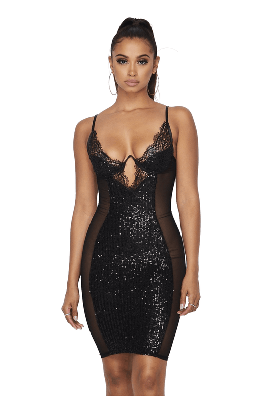 Sequin Lace Mesh Mini Dress