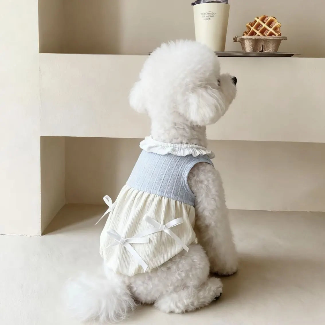 Dog  Clothing Vest Puppy Kitten School Uniform Style  Trendy Coat Clothes Outwear for Small Medium Dogs Cats