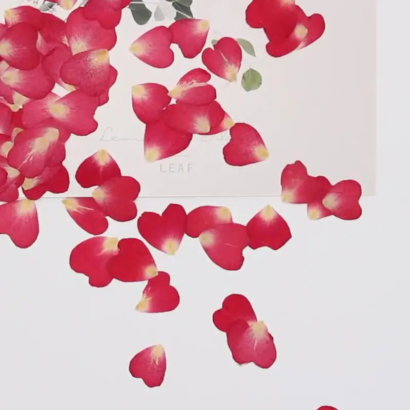 120pcs Rose Petals Mixed Pack, Dried Flowers, Pressed Flowers