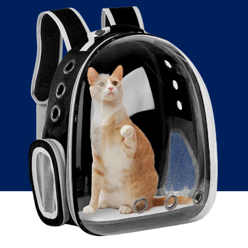 Space Capsule Pet Backpack with Clear Dome for Cats and Small Dogs
