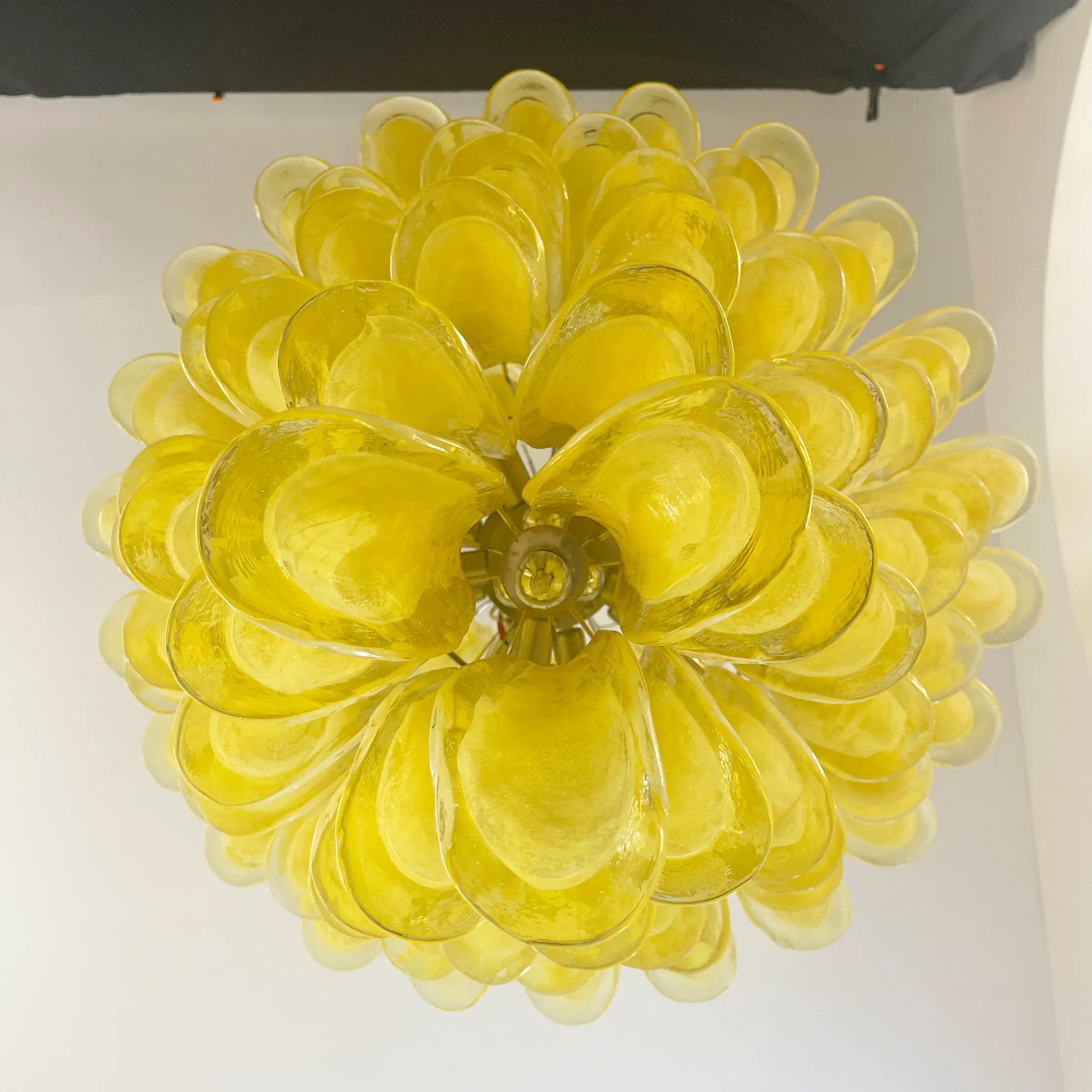 Impresionante lámpara de araña de cristal de Murano con pétalos color caramelo