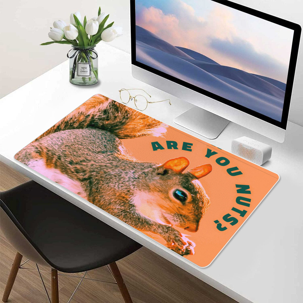 Are You Nuts Funny Squirrel Mousepad and Desk Mat - available in 2 sizes