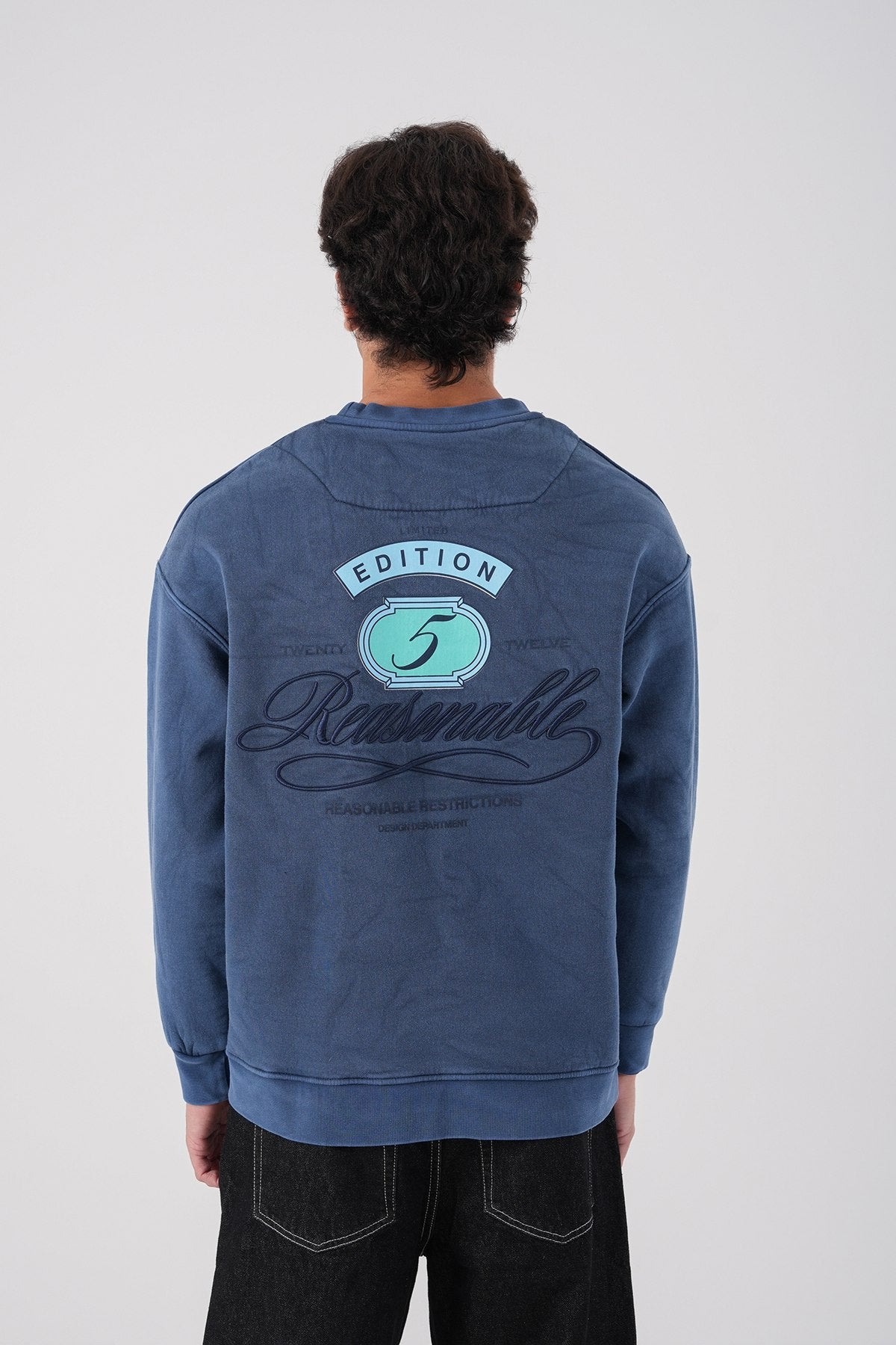 Sudadera unisex lavada con gráfico – Estampado trasero "Reasonable"