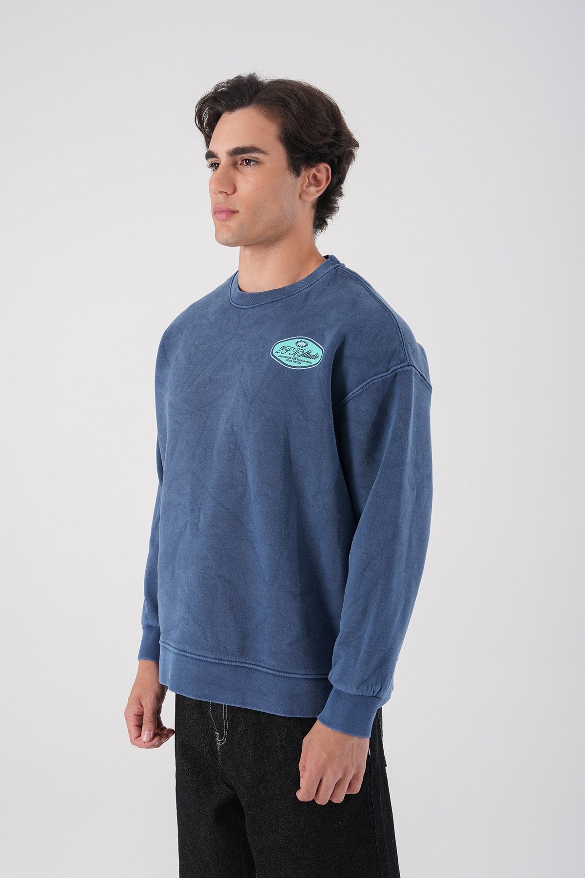 Sudadera unisex lavada con gráfico – Estampado trasero "Reasonable"
