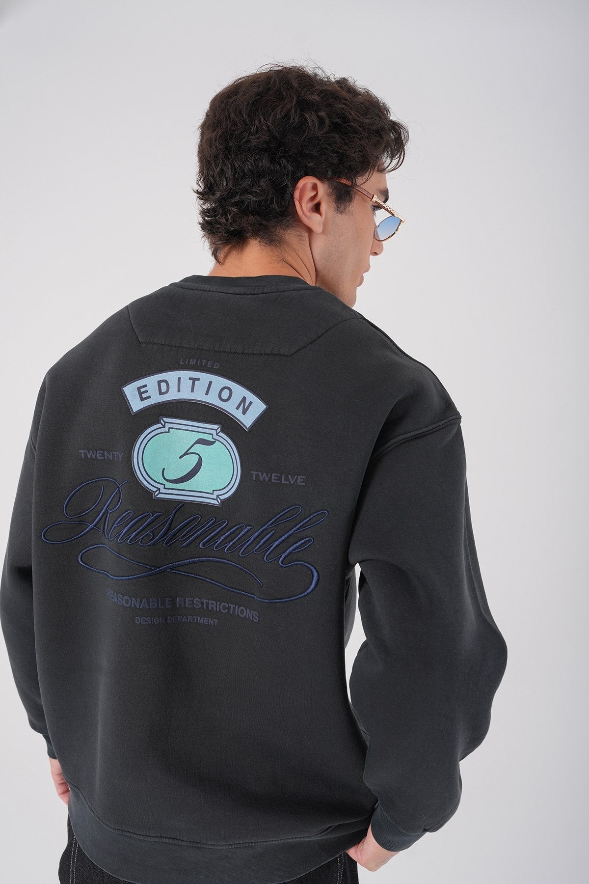 Sudadera unisex lavada con gráfico – Estampado trasero "Reasonable"
