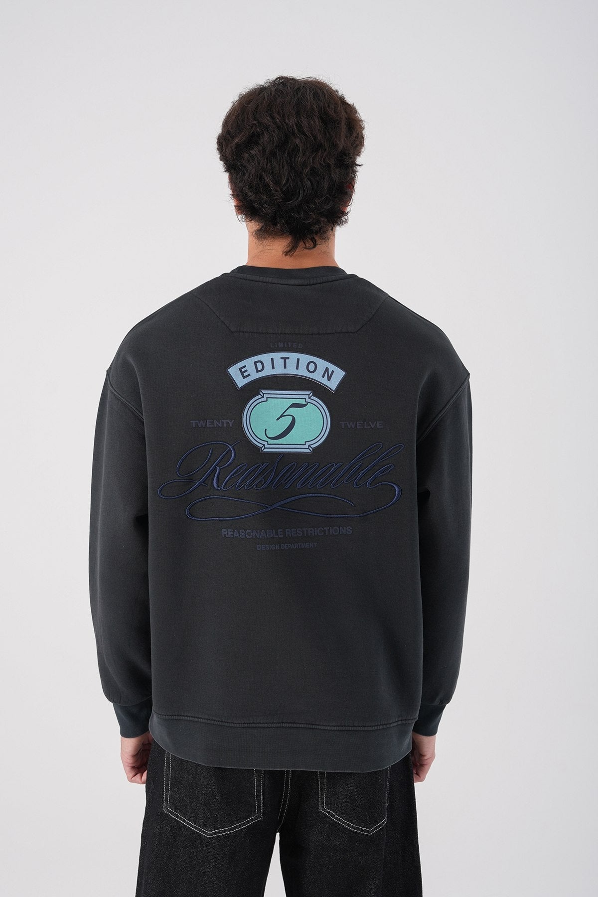Sudadera unisex lavada con gráfico – Estampado trasero "Reasonable"