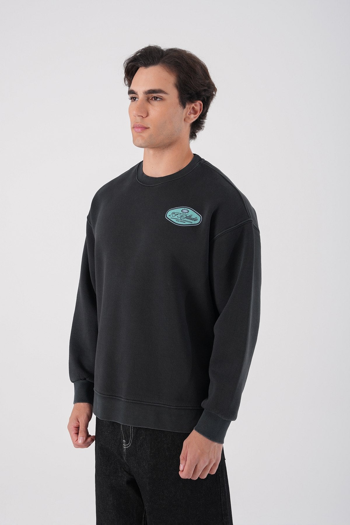 Sudadera unisex lavada con gráfico – Estampado trasero "Reasonable"