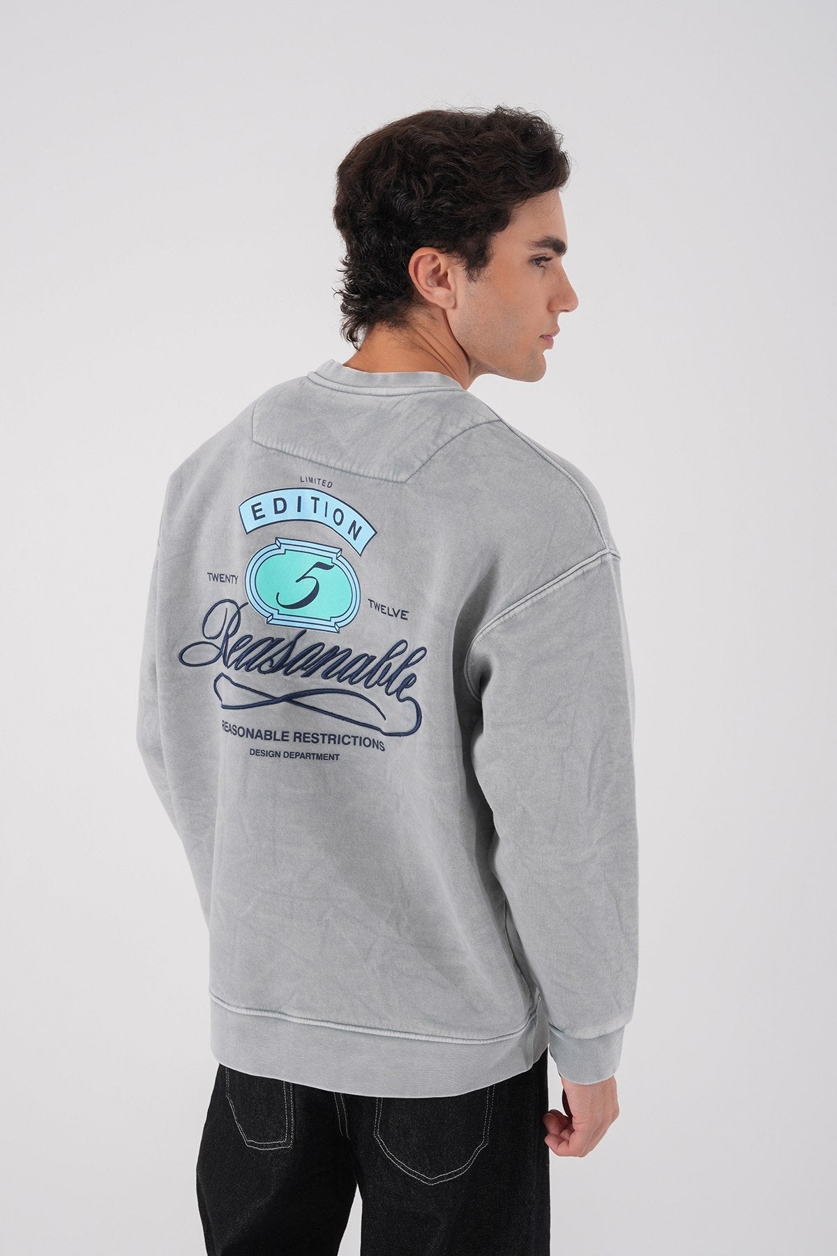 Sudadera unisex lavada con gráfico – Estampado trasero "Reasonable"