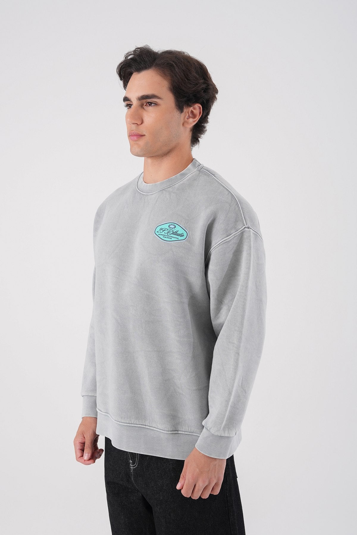 Sudadera unisex lavada con gráfico – Estampado trasero "Reasonable"