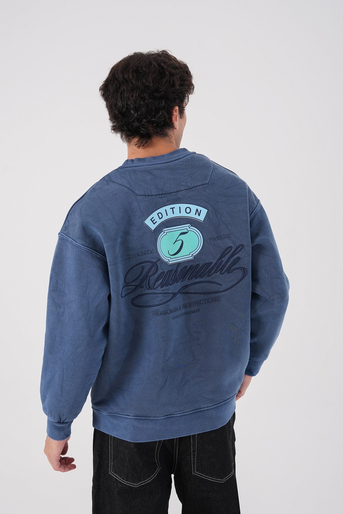 Sudadera unisex lavada con gráfico – Estampado trasero "Reasonable"