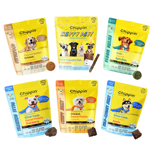 Variety Gift Bundle, 6-Pack