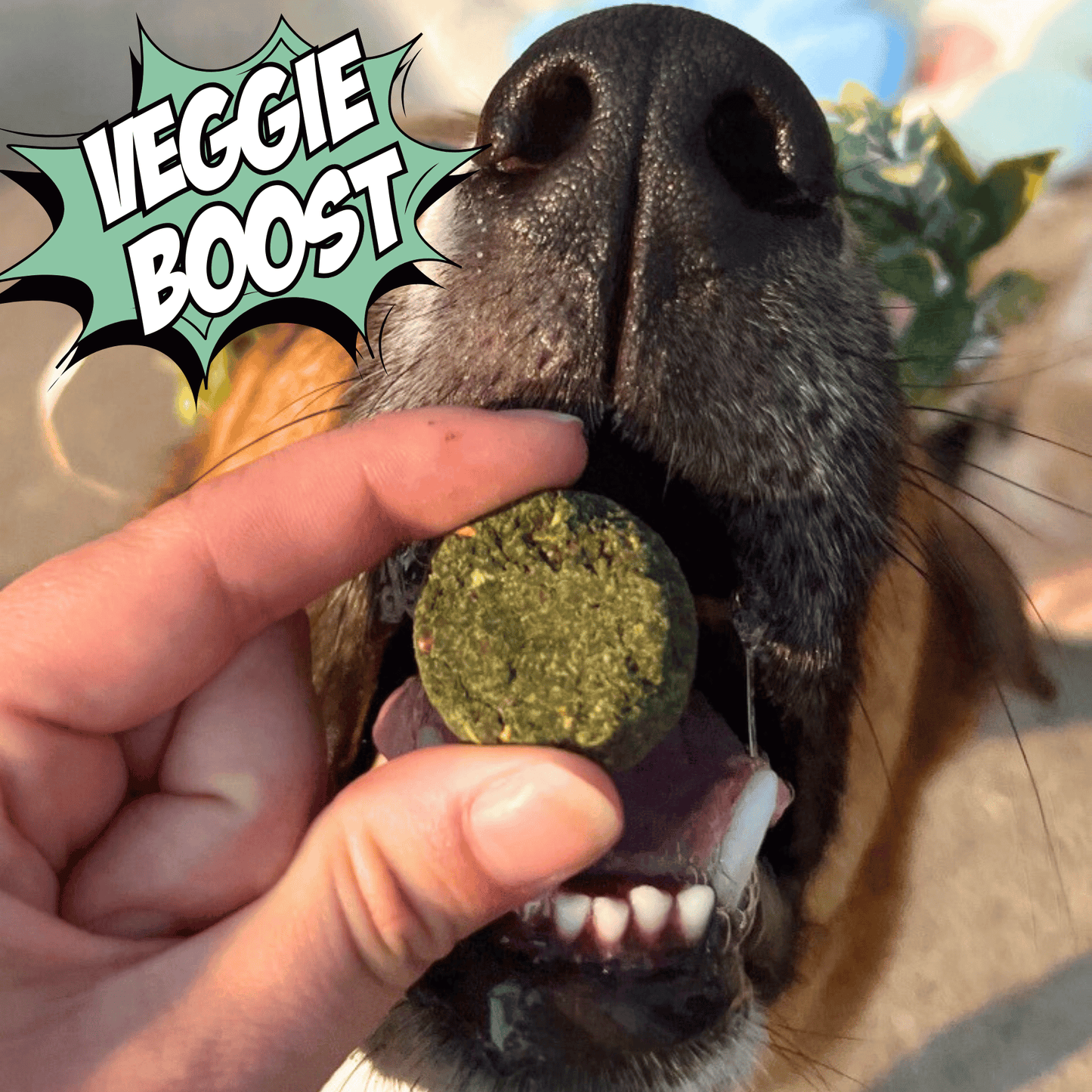 Veggie Dailies con Espirulina, paquete de 4
