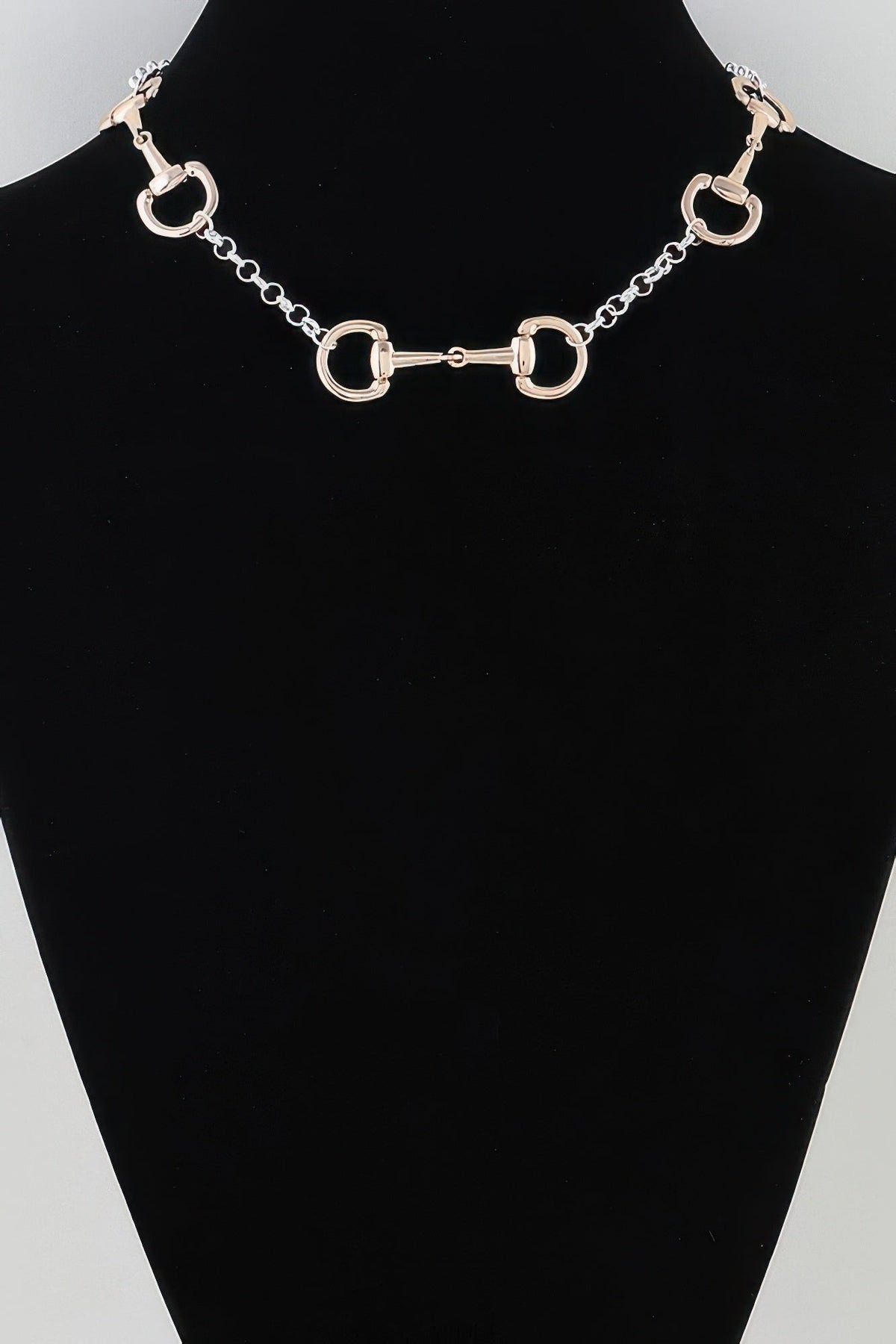 Multi Horseshoe Toggle Chain Necklace