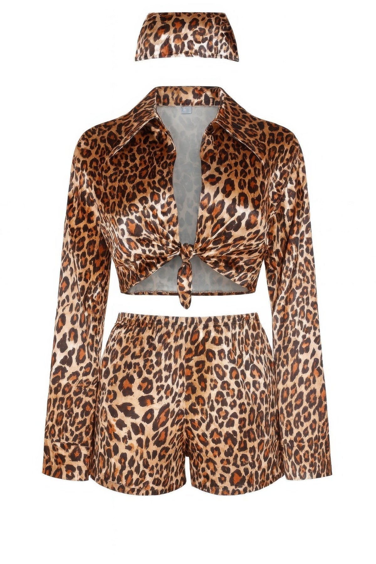 Leopard Print Two Piece Set