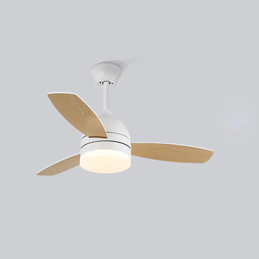 Wood Blade Ceiling Fan Light