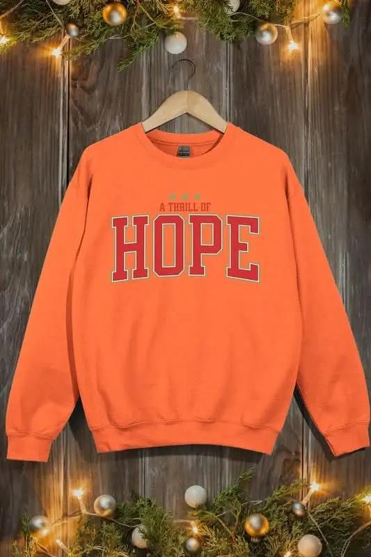 Jackets Color Bear Graphic Fleece Sweatshirt Unisex Everyday Comfy Pullover