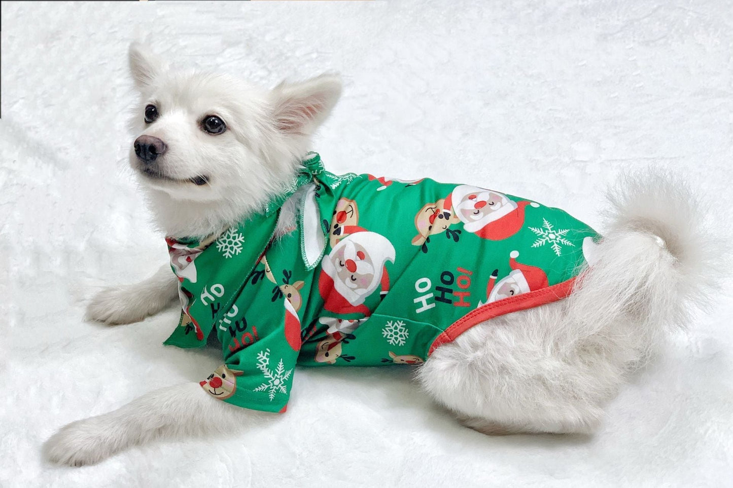 Conjunto de pijamas navideños a juego para la familia – Parte de arriba y ropa de dormir de Papá Noel para la familia