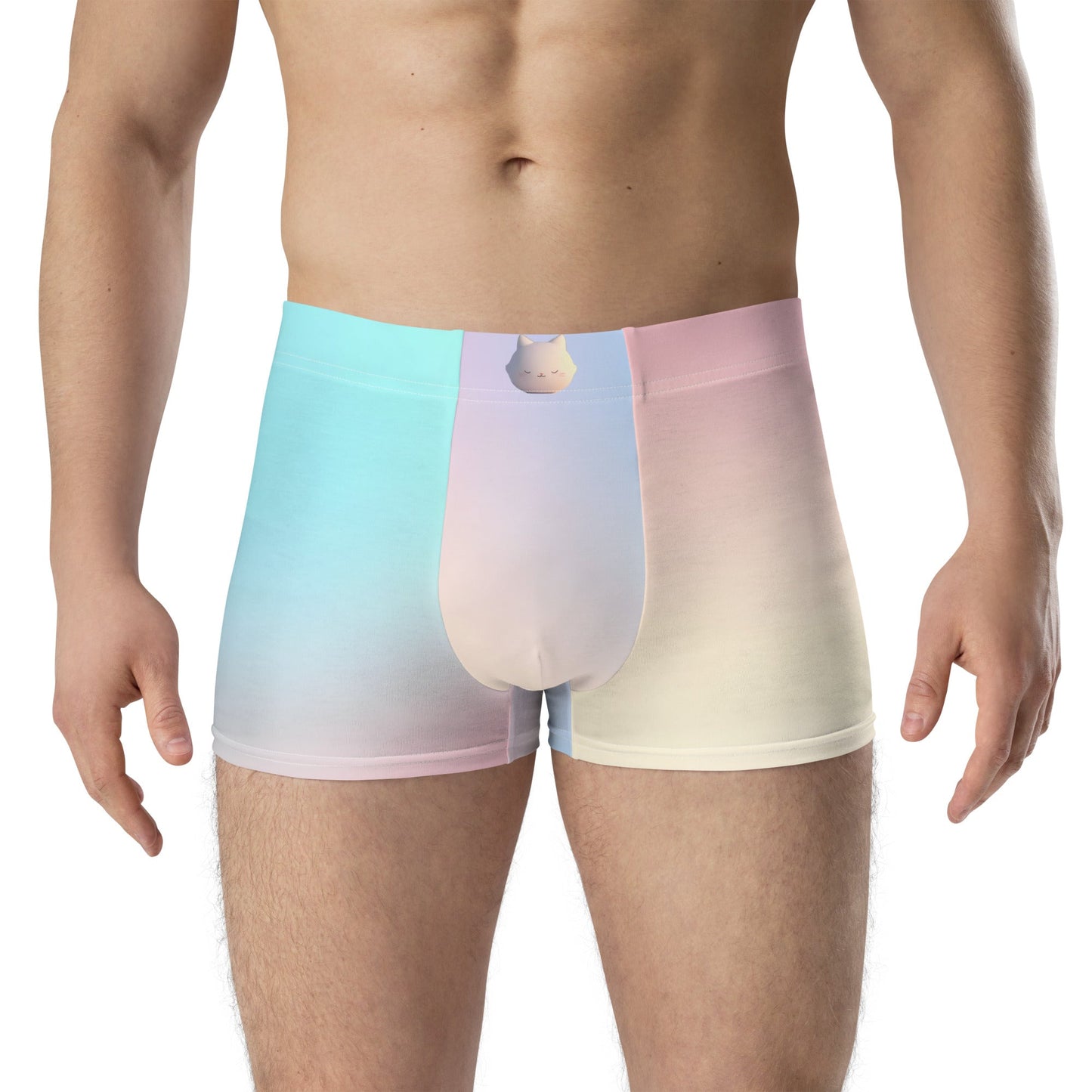 Boxer Briefs