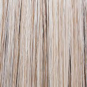 Raquel Welch Alpha Wave 16" Top Piece Hair Topper Hairpiece