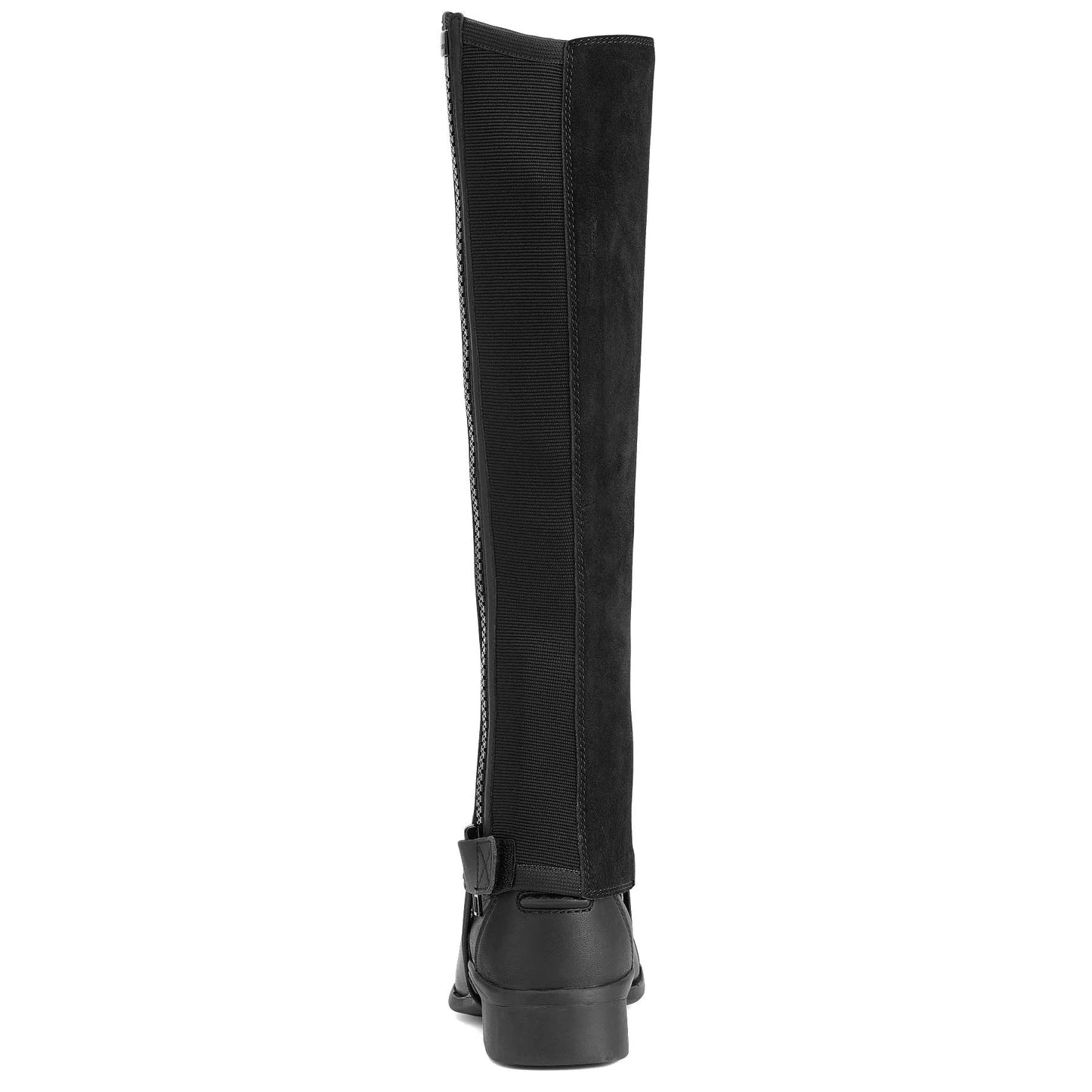 Ariat Scout Half Chap, Adulto, Negro