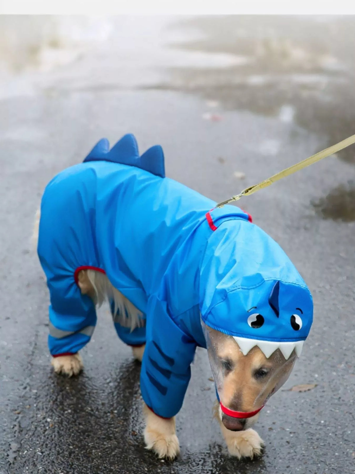Dinosaur Style Waterproof Dog Raincoat with Hood